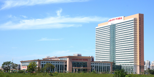 01.jpg
